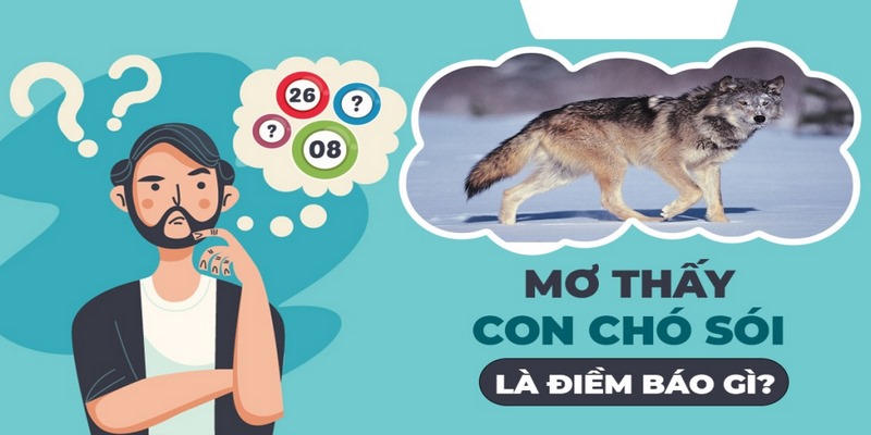 Điềm báo tâm linh khi mơ thấy sói