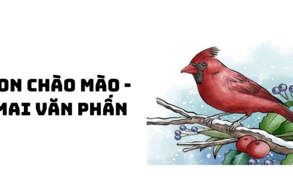 Tác giả tác phẩm Con chào mào (Mai Văn Phấn) đầy đủ nhất