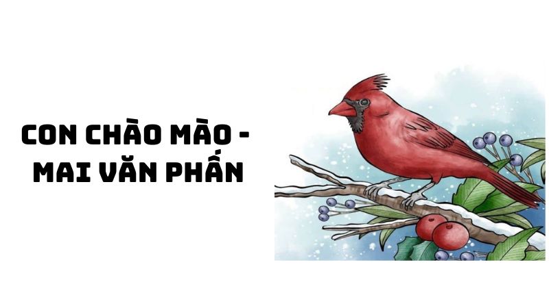 Tác giả tác phẩm Con chào mào (Mai Văn Phấn) đầy đủ nhất