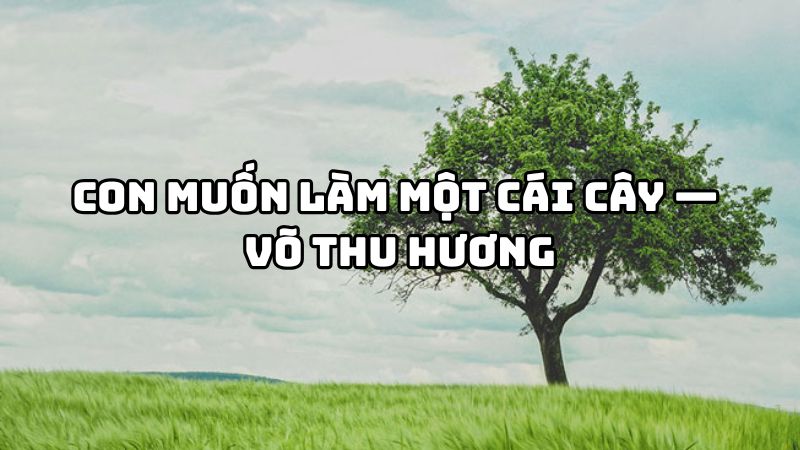 Tác giả tác phẩm Con muốn làm một cái cây — Võ Thu Hương