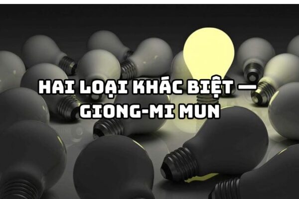 Tác giả tác phẩm Hai loại khác biệt — Giong-mi Mun và giá trị