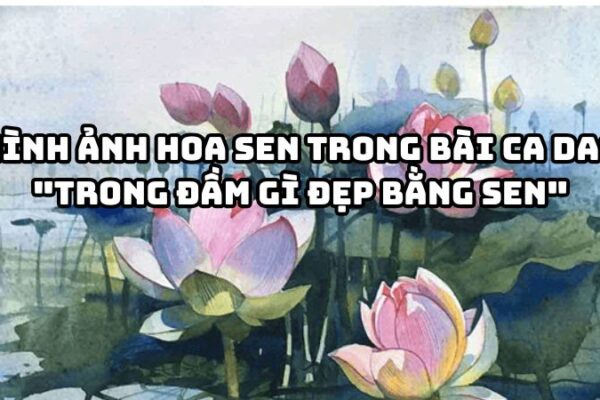 Tác giả tác phẩm Hình ảnh hoa sen trong bài ca dao Trong đầm gì đẹp bằng sen