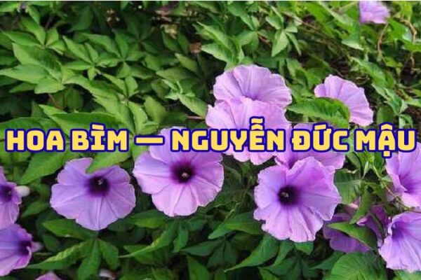 Tác giả tác phẩm Hoa bìm — Nguyễn Đức Mậu đầy đủ nhất