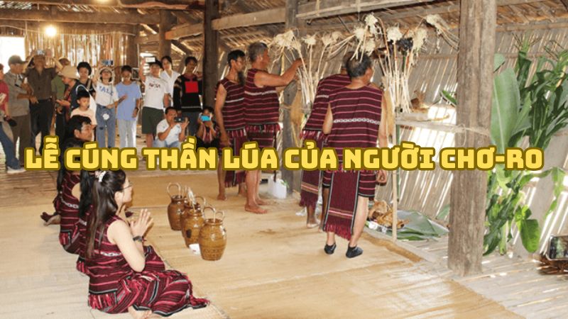 Tác giả tác phẩm Lễ cúng thần lúa của người Chơ-ro đầy đủ