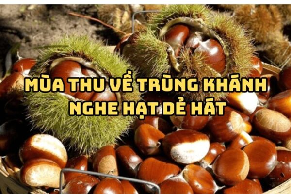 Tác giả tác phẩm Mùa thu về Trùng Khánh nghe hạt dẻ hát