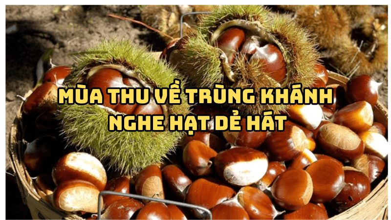 Tác giả tác phẩm Mùa thu về Trùng Khánh nghe hạt dẻ hát