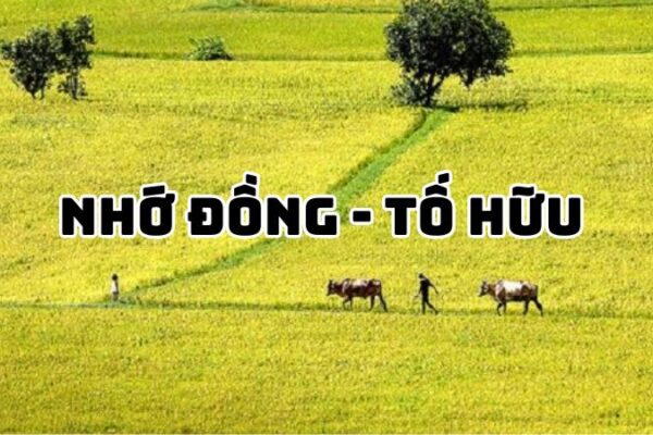 Tác giả tác phẩm Nhớ đồng Tố Hữu — tiểu sử và giá trị bài thơ