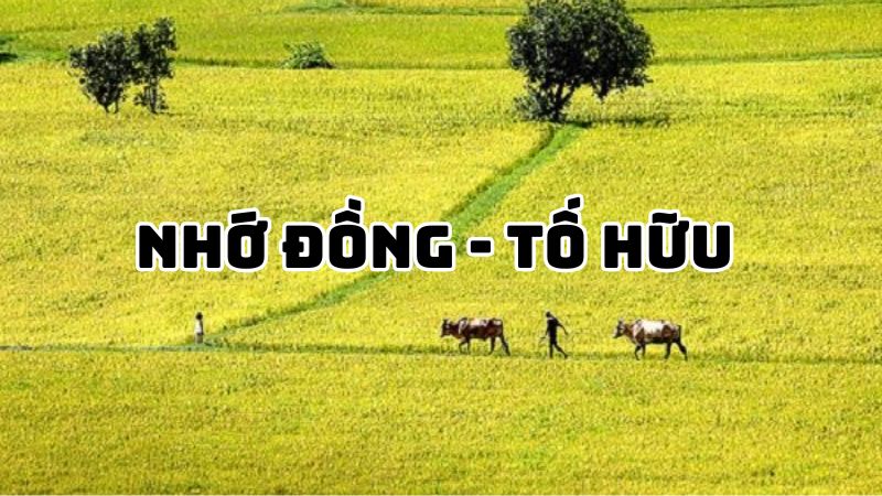 Tác giả tác phẩm Nhớ đồng Tố Hữu — tiểu sử và giá trị bài thơ