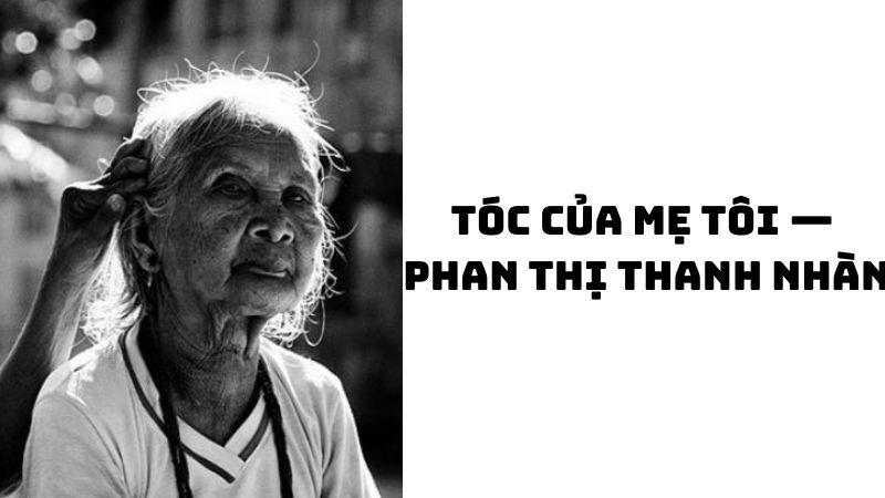 Tác giả tác phẩm Tóc của mẹ tôi — Phan Thị Thanh Nhàn