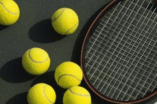 Các sảnh cược thể thao uy tín liên kết cùng cổng game