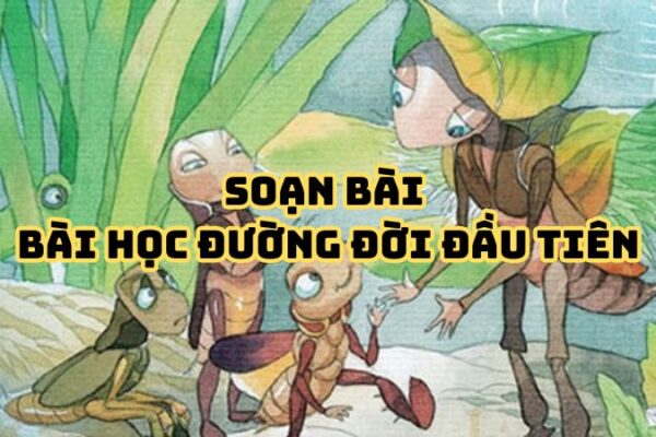 Soạn bài Bài học đường đời đầu tiên đầy đủ