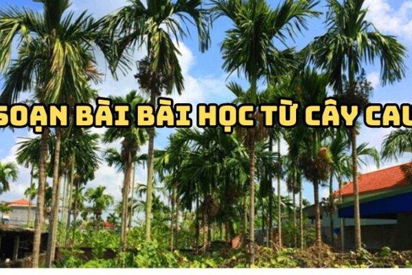 Soạn bài Bài học từ cây cau Nguyễn Văn Học đầy đủ