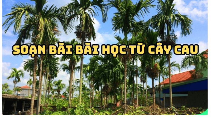Soạn bài Bài học từ cây cau Nguyễn Văn Học đầy đủ