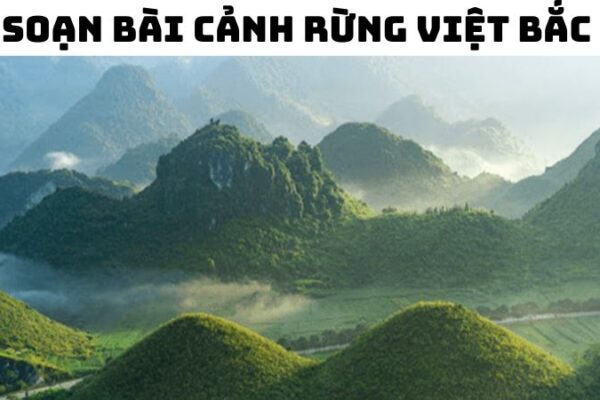 Soạn bài Cảnh rừng Việt Bắc — đầy đủ, chi tiết, dễ hiểu nhất