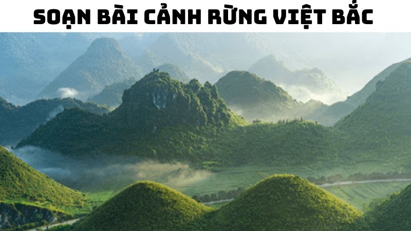 Soạn bài Cảnh rừng Việt Bắc — đầy đủ, chi tiết, dễ hiểu nhất