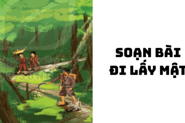 Soạn bài Đi lấy mật Đoàn Giỏi đầy đủ chi tiết