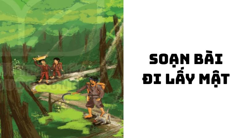 Soạn bài Đi lấy mật Đoàn Giỏi đầy đủ chi tiết