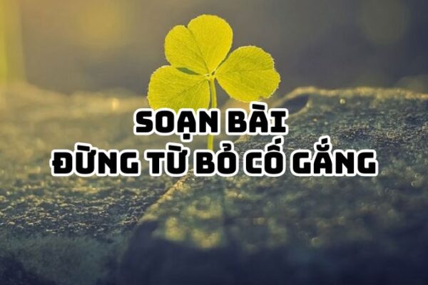 Soạn bài Đừng từ bỏ cố gắng Trần Thị Cẩm Quyên