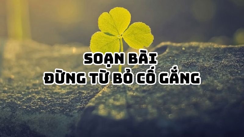 Soạn bài Đừng từ bỏ cố gắng Trần Thị Cẩm Quyên