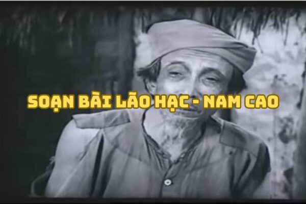 Soạn bài Lão Hạc Nam Cao — đầy đủ, chi tiết nhất
