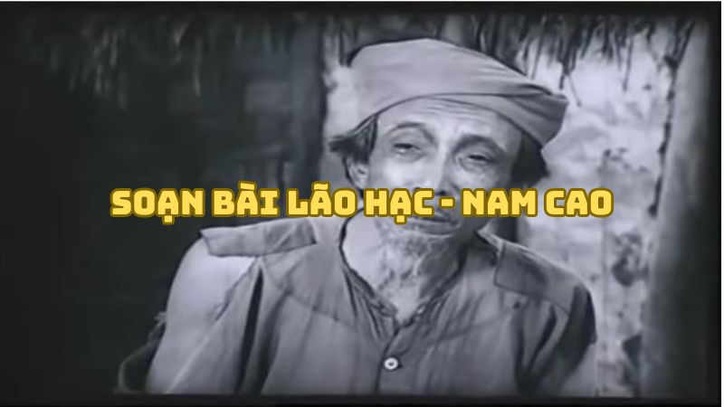 Soạn bài Lão Hạc Nam Cao — đầy đủ, chi tiết nhất