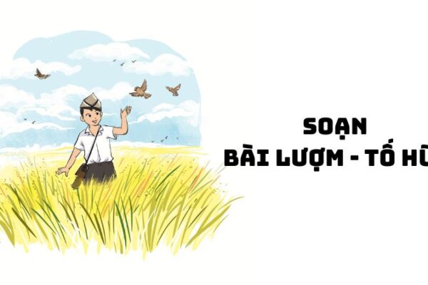Soạn bài Lượm Tố Hữu — đầy đủ, chi tiết nhất