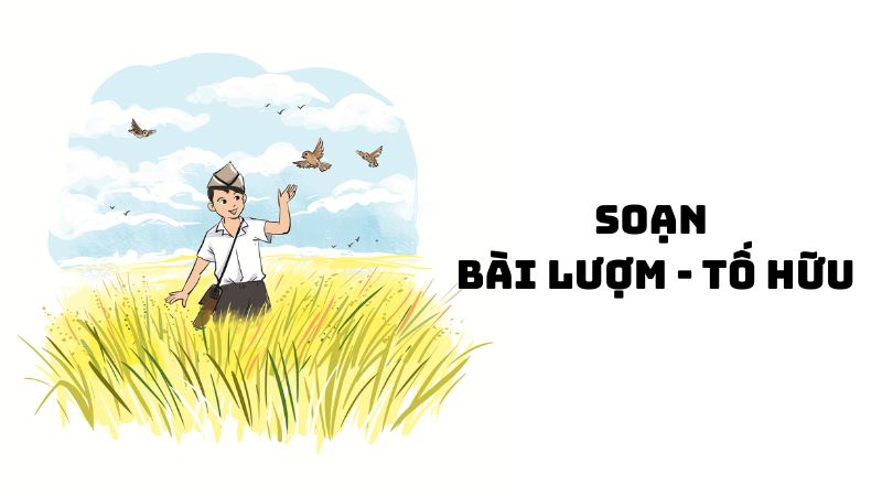 Soạn bài Lượm Tố Hữu — đầy đủ, chi tiết nhất
