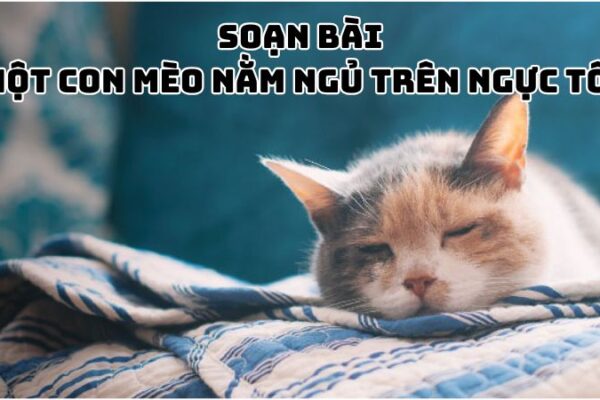 Soạn bài Một con mèo nằm ngủ trên ngực tôi