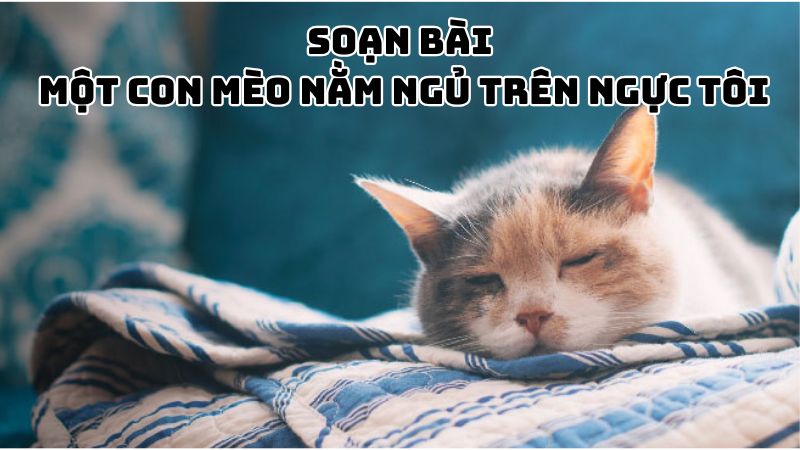 Soạn bài Một con mèo nằm ngủ trên ngực tôi