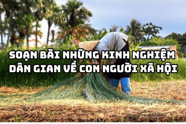 Soạn bài Những kinh nghiệm dân gian về con người xã hội