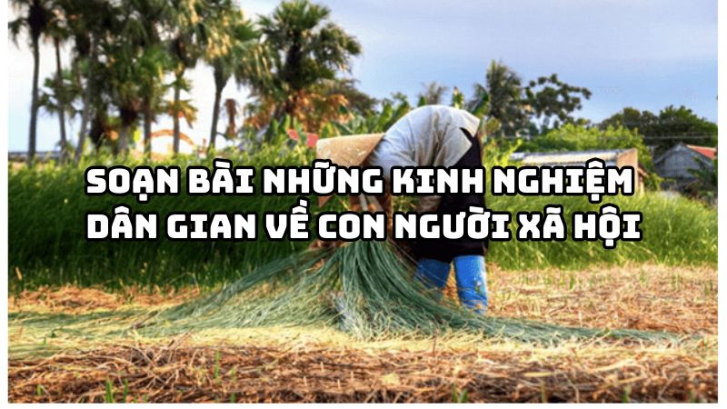 Soạn bài Những kinh nghiệm dân gian về con người xã hội