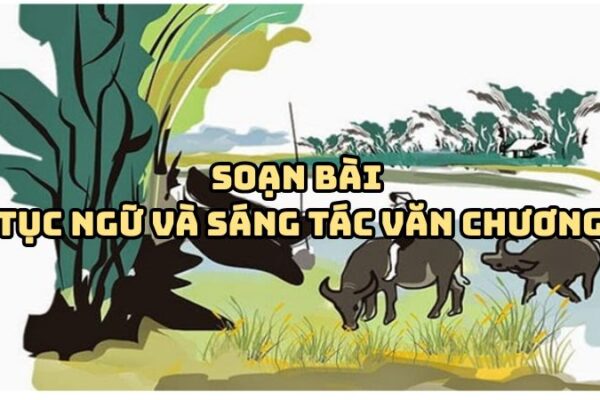 Soạn bài Tục ngữ và sáng tác văn chương đầy đủ