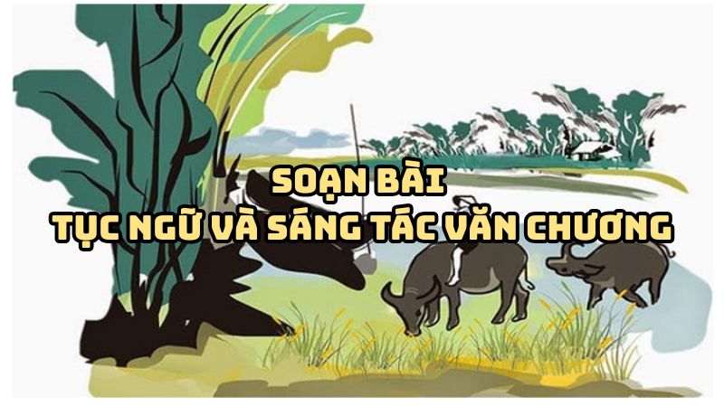 Soạn bài Tục ngữ và sáng tác văn chương đầy đủ