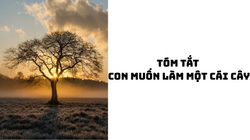 Tóm tắt Con muốn làm một cái cây hay nhất