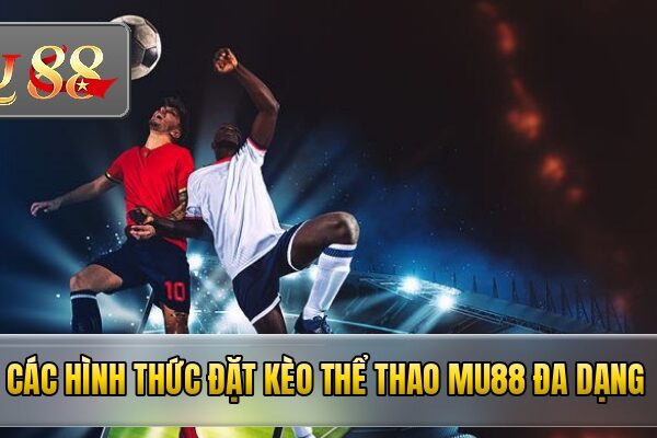 Các hình thức đặt kèo thể thao mu88 đa dạng